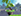 gif preset