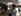 gif preset