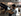 gif preset